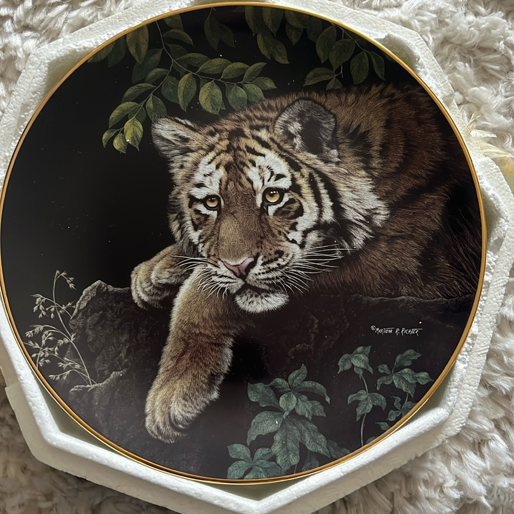 🌴⭐️ Hamilton Collection - Siberian Tiger Cub Plate